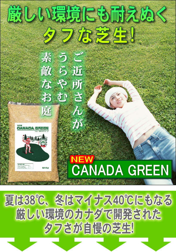 ニューカナダグリーン 厳しい環境にも耐えぬくタフな芝生