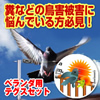 テグスセット