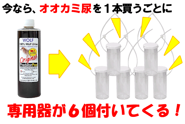 プレゼントキャンペーン中