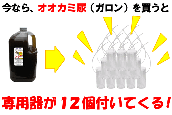 プレゼントキャンペーン中