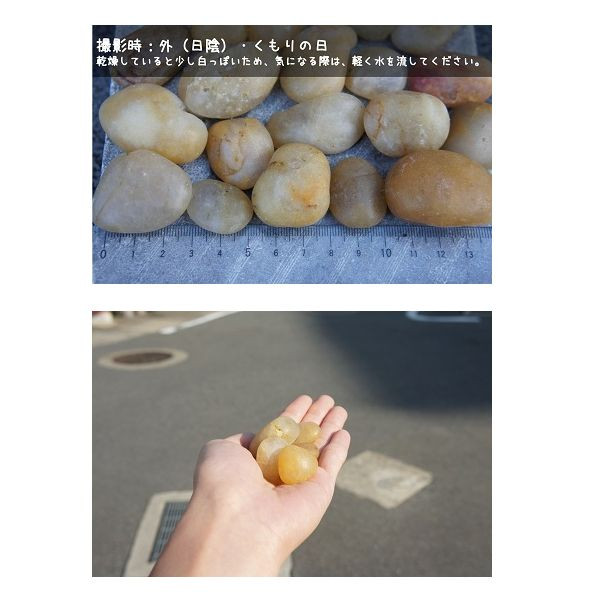 商品写真