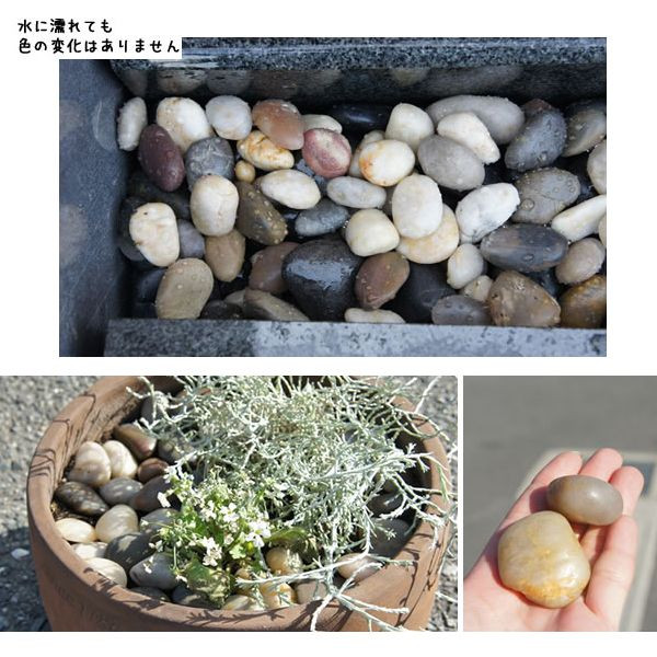 商品写真