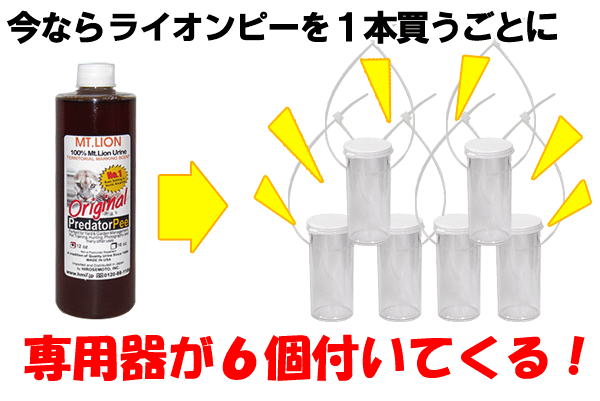 プレゼントキャンペーン中