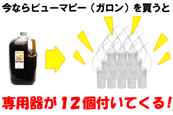 プレゼントキャンペーン中