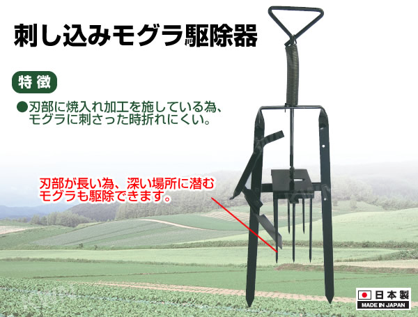 方法 もぐら 退治
