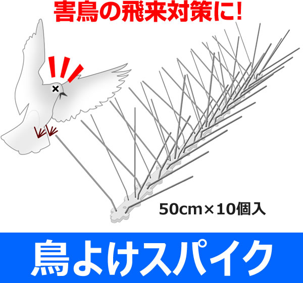鳥よけスパイク