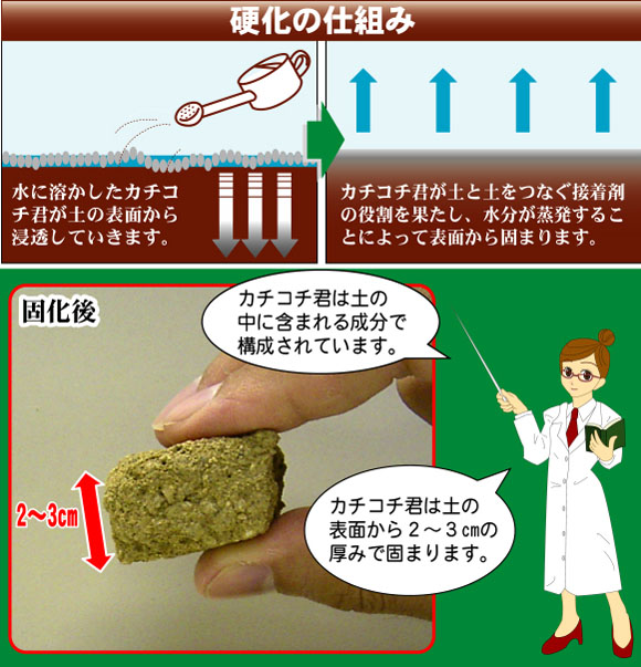 カチコチ君