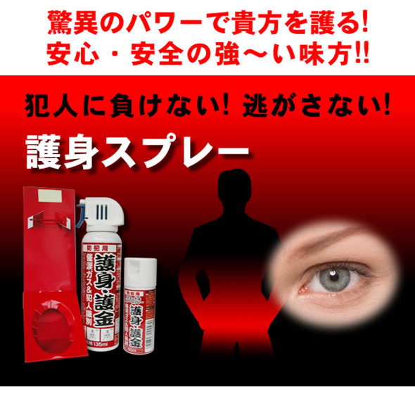 商品説明