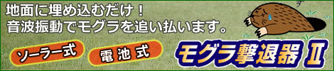 ������ގ��Ƀ��O�����ފ�U