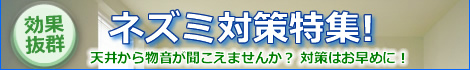 ネズミ対策特集!