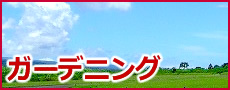�K�[�f�j���O�p�i