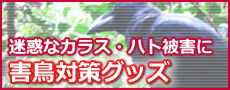 害鳥対策グッズ