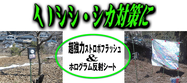 イノシシ・シカ対策に