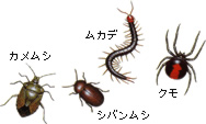 ̊QVbgAEgI