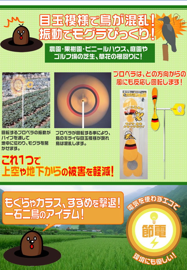 ̗͂ŊQAOށI