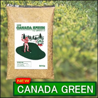 【即納】New カナダグリーン ニューカナダグリーン 芝生の種 緑の芝生 ガーデニング 庭 4種類 種 配合 暑い夏 寒い冬 緑の芝生