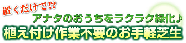 プチプラート 6枚組