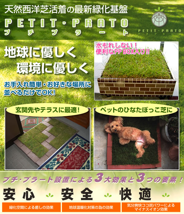 プチプラート 6枚組