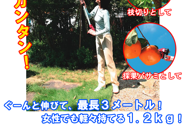 のびきる高枝切り鋏