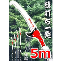 }łꔭ@5m