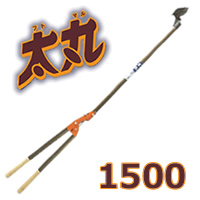 ���� 1500