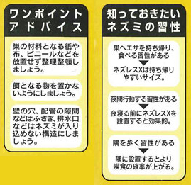 �l�Y���XX�̓���