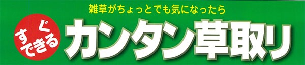 ͂`G