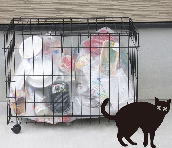 ���i����