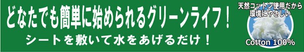 �ȒP�Ő��琬�V�[�g