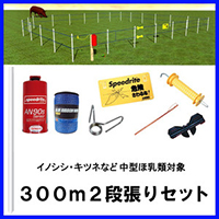 dC u[̂ł 300m2iZbg