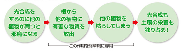商品説明