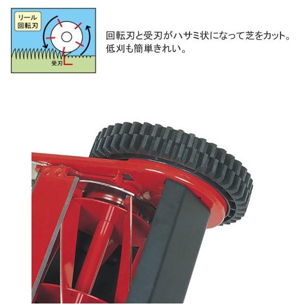 蓮 Ŋ@@250mmE[5n