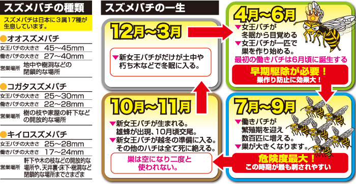 業務用スズメバチ誘引捕獲器 | 撃退百貨店