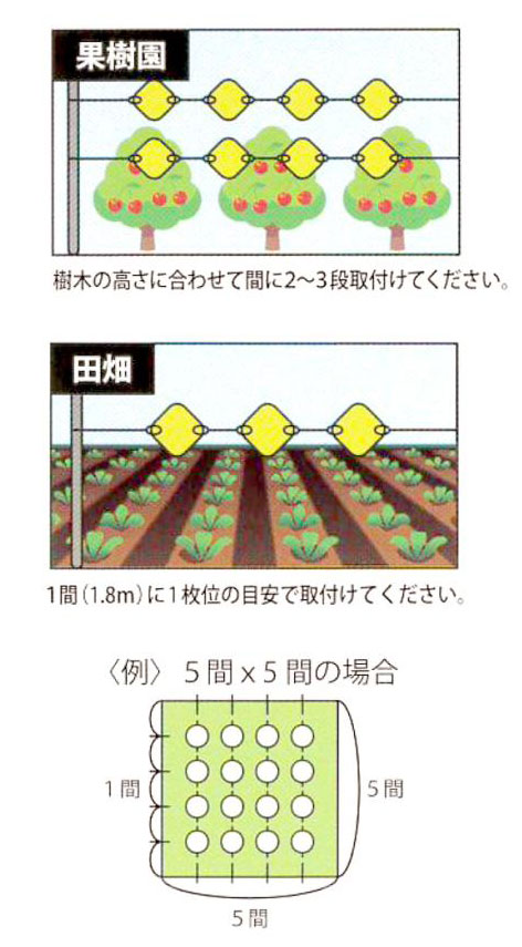 Uނ̎g