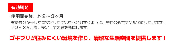 有効期間