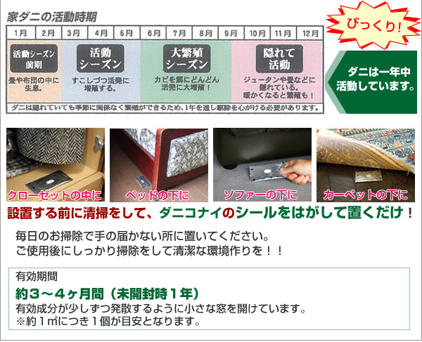 ダニは1年中活動しています!