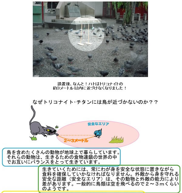 チタンで鳥を追い払う！ トリコナイト・チタン | 撃退百貨店